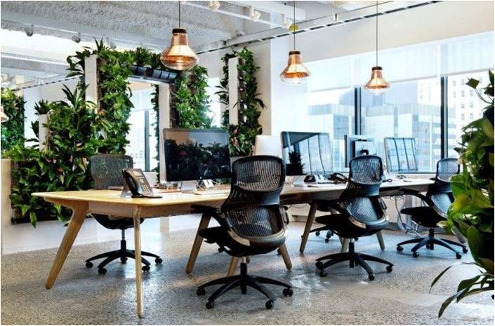 Office furniture trends: ergonomic chairs, lush plants, and open layouts for productive workspaces.
